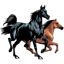 Symbolbild für Pferderassen - Fotos