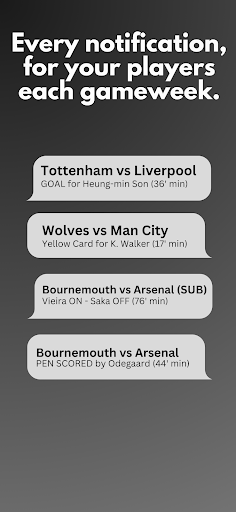Flash FPL Screen 2