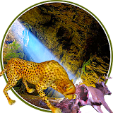 Real Cheetah Simulator 2016 icon