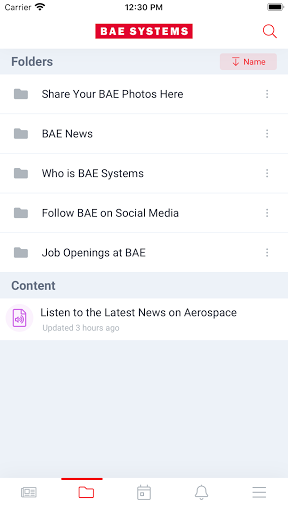 BAE Systems, Inc. Screen 2