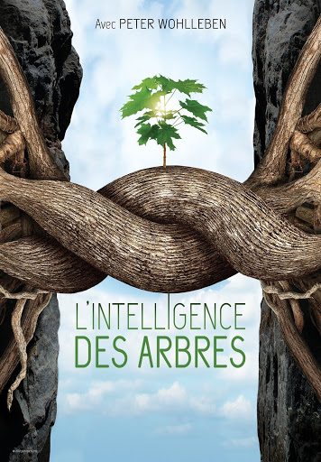 L'intelligence des arbres, le film et le livre qui sèment la