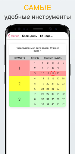 Беременность по неделям KLO Screen 2