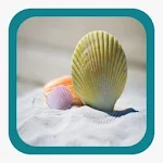 Cover Image of Download Beach Wallpaper  APK