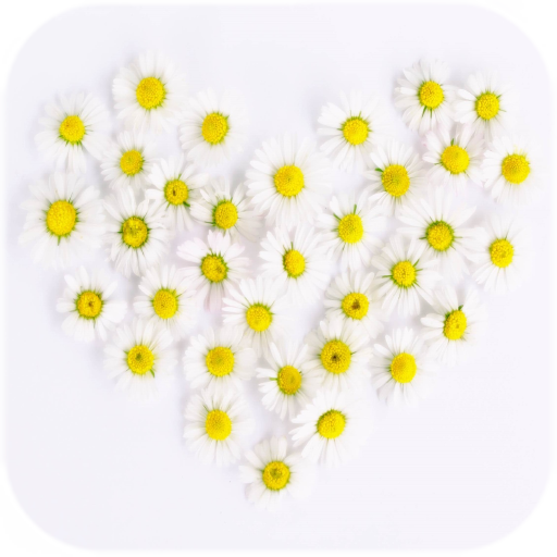 Hearts Live Wallpaper