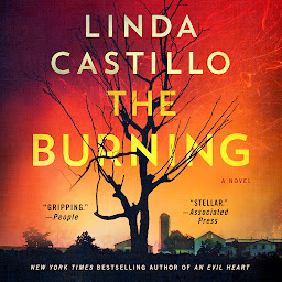 Icon image The Burning: A Novel
