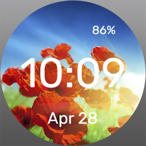 Poppy Still Life - Watch Face Download on Windows