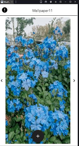 Android application Blueflowers wallpaper screenshort