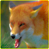 Angry Wild Fox Attack Sim 3D icon