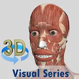 Visual Muscles 3D icon