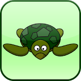 Turtle Time icon