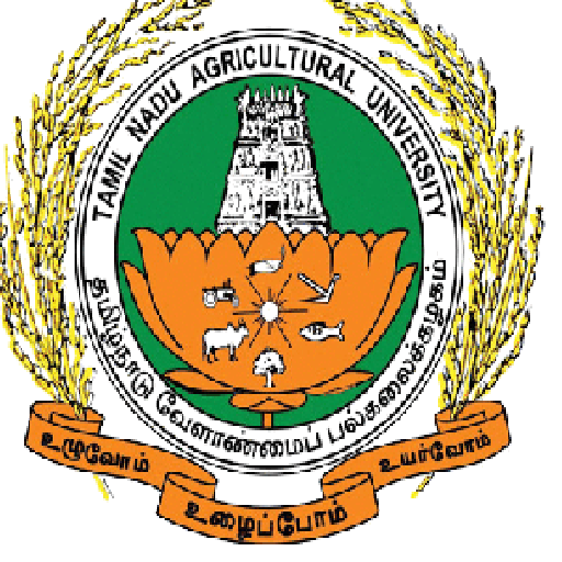 Cereals Millets Tamil logo