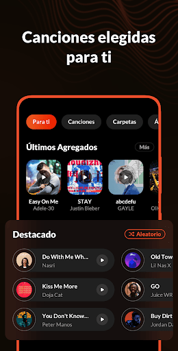 Vista previa de la aplicación