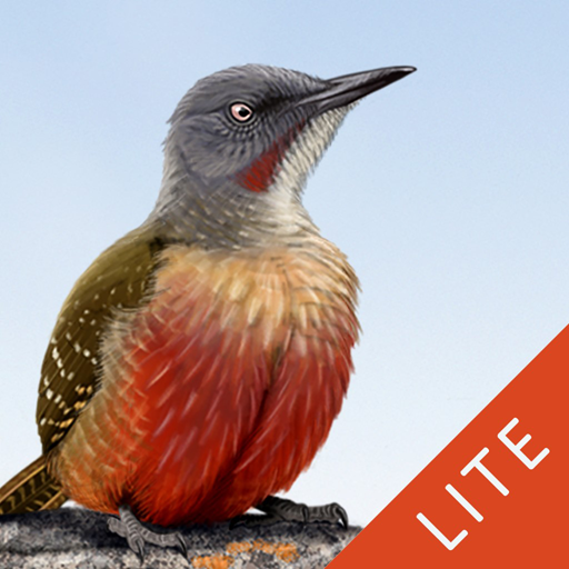Sasol eBirds SA LITE logo