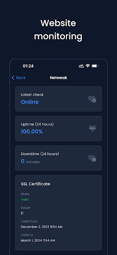 Netweak: Server Monitoring Screen 3