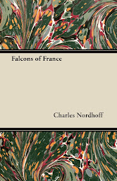 Obraz ikony: Falcons of France