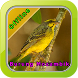 Master Kicau Burung Mozambik icon
