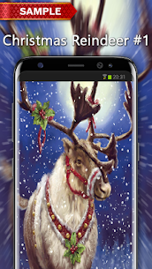 Download and Install Christmas Reindeer Wallpapers  2021 for Windows 7, 8, 10 2
