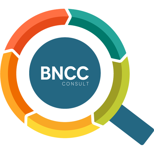 BNCC Consult