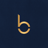 Babel Group icon
