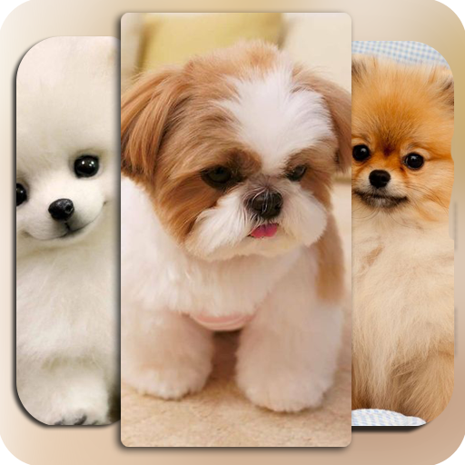 Get Dog Wallpaper for Android Aso Report