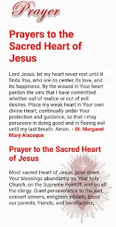 Sacred Heart of Jesus Devotion screenshot 6