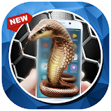 Snake Screen In Phone Prank icon