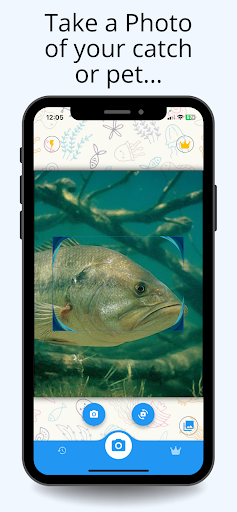 Fish Identifier: AI Scanner screenshot 3