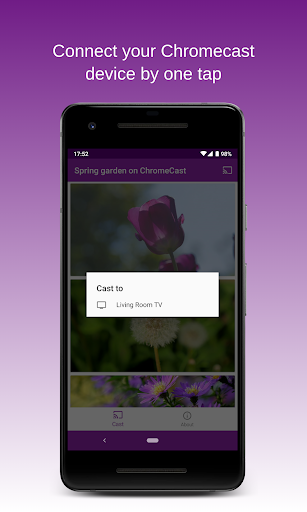 Spring Garden on Chromecast Screen 3