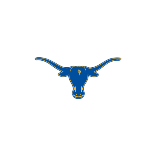 Lone Star School logo