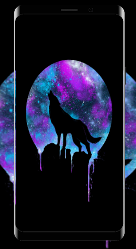 Wallpapers Wolf Dark Wolves HD