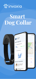Smart Dog Collar
