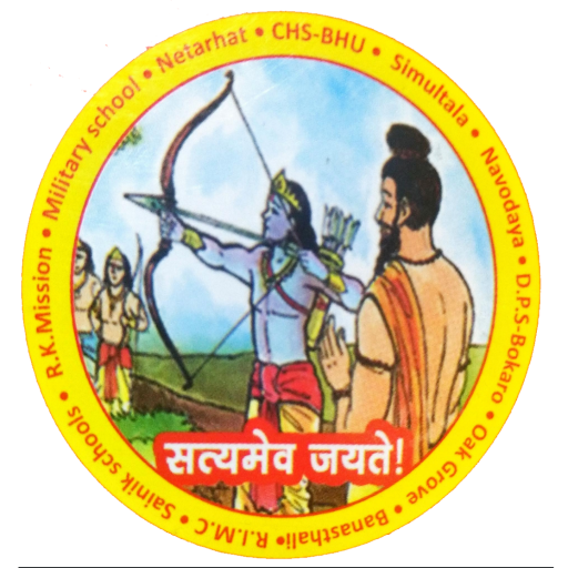 DRONA PUBLIC SCHOOL MOTIHARI logo