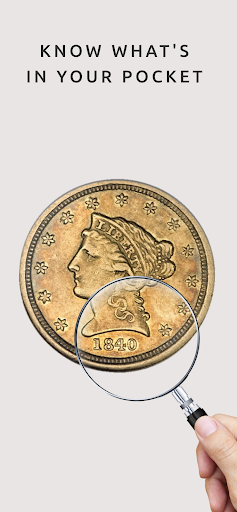 Coin identifier