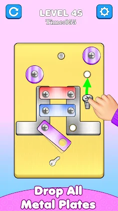 Screw Nuts & Bolts Pin Puzzle - Screenshot 2