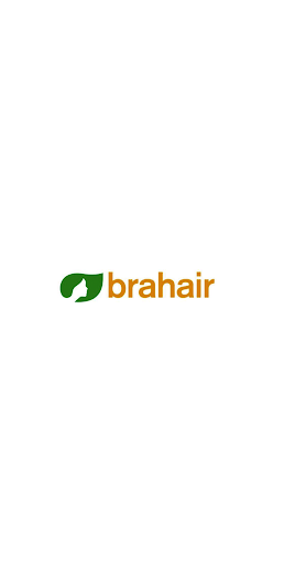 Brahair Screen 3