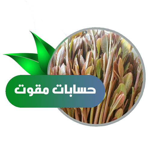 حسابات مقوت logo