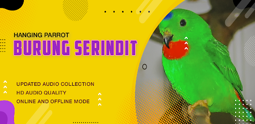 Suara Serindit: Hanging Parrot Screen 2
