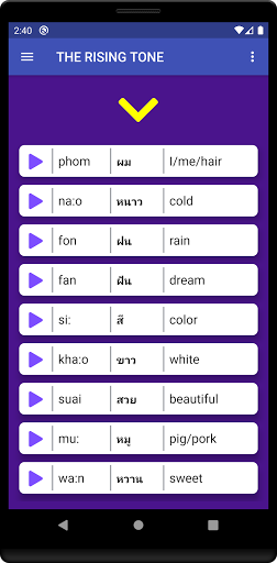 Thai Tone Trainer Screen 3