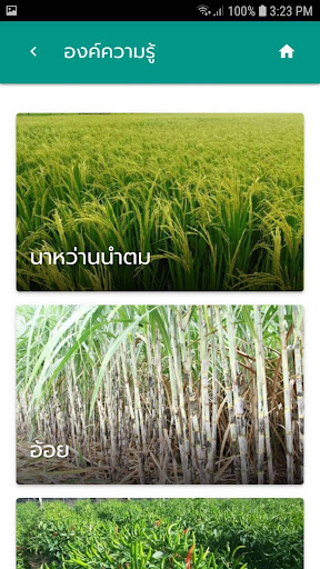 มุมหมอพืช Screen 2