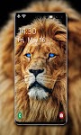 screenshot of Lion Wallpaper