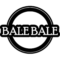 Dj Bale Bale Remix Offline