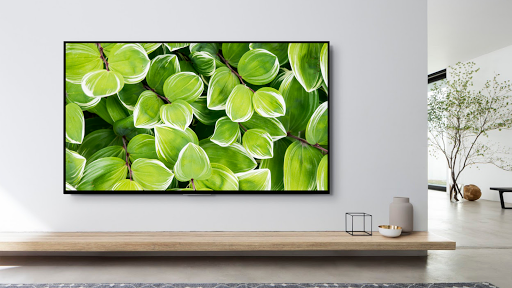 ZenPic Screen 2