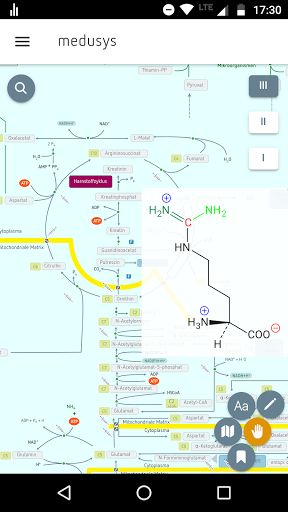 Android application Biochemistry, interactive map screenshort