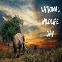 National Wildlife Day 2021 - Wildlife Day