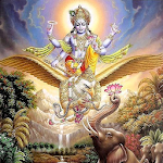 Cover Image of ダウンロード श्री विष्णु सहस्रनाम् (Shri Vishnu Sahasranamam) 1.0.8 APK