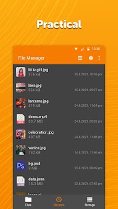 Simple File Manager Pro MOD APK (Premium Unlocked) 3
