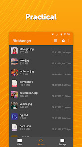 Simple File Manager Pro APK 