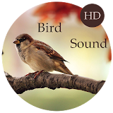 Bird Sounds - Relax and Sleep icon