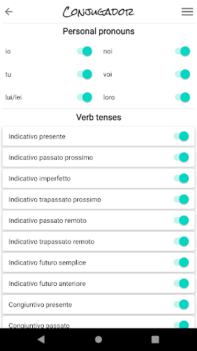 Italian verbs. Conjugador Screen 3