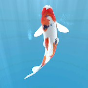 Koi  - Aquarium app icon